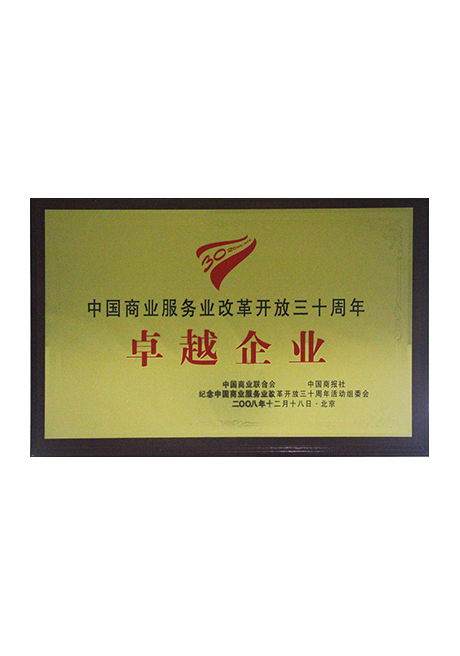 2008年中國商業(yè)服務業(yè)改革開放三十周年卓越企業(yè)